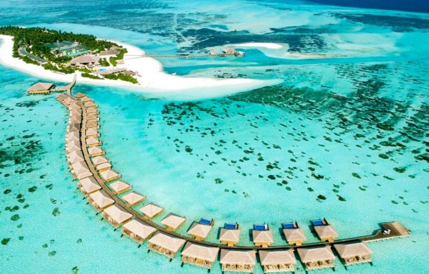 Cocoon Maldives