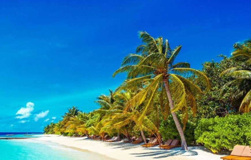 Lily Beach Resort and Spa
