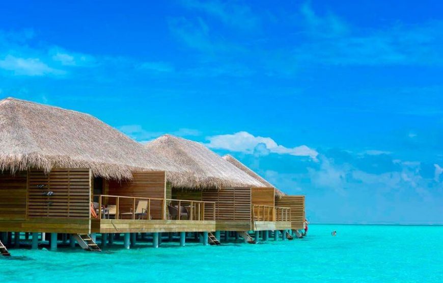 Cocoon Maldives