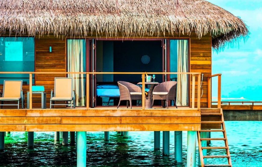 Cocoon Maldives