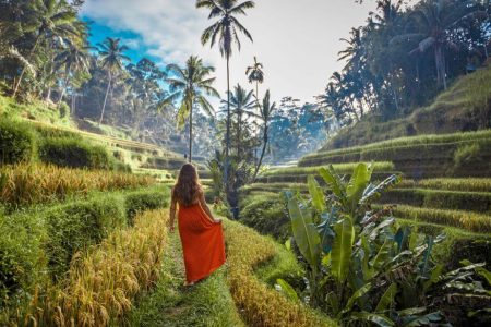 #1 Travel Portal