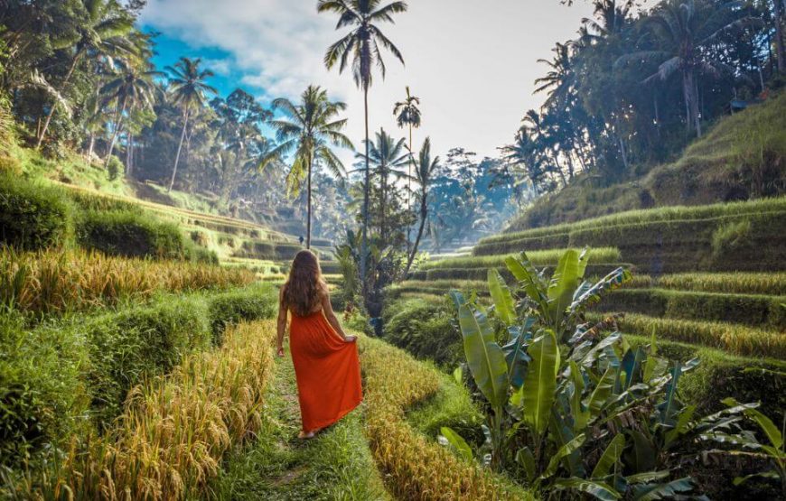 Beautiful Bali