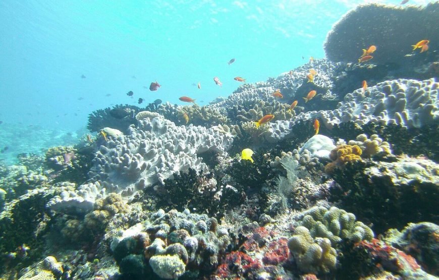 Biyadhoo Island Resort