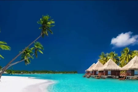 #1 Travel Portal